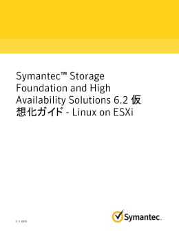 Symantec™ Storage Foundation and High Availability