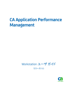 CA Application Performance Management
