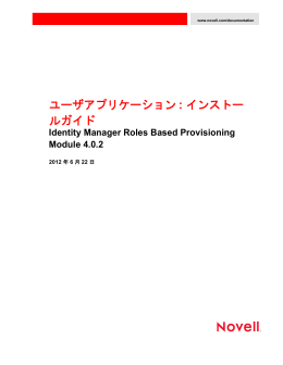 Identity Manager Roles Based Provisioning Module 4.0.2ユーザ