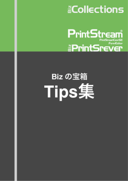 Biz/PrintServer・PrintStream Core SE・PrintStream Core