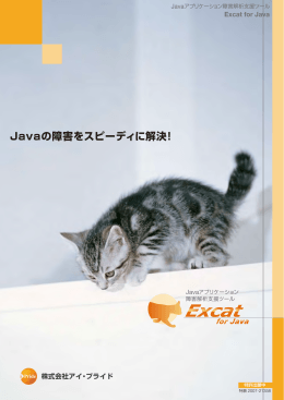 Excat for Javaパンフレット