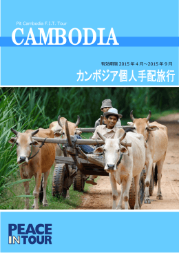 有効期限 2015 年 4 月～2015 年 9 月 Pit Cambodia