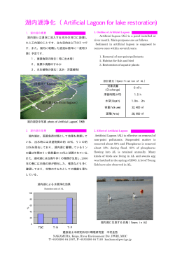 （湖内湖浄化）のパンフレット （PDF）