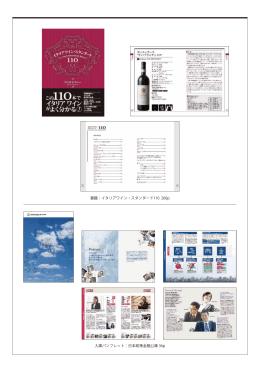 入庫パンフレット：日本政策金融公庫 36p 書籍：イタリアワイン