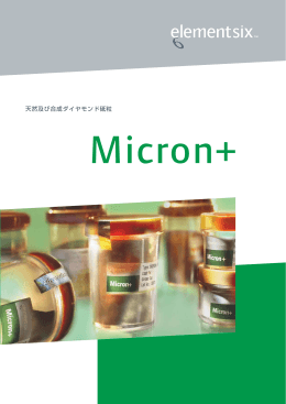 Micron Japanese Brochure