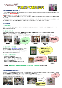 食生活改善推進員の活動(PDF文書)