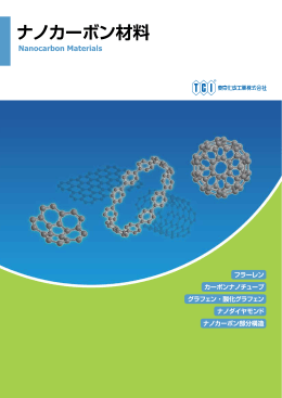 ナノカーボン材料 ( PDF file )