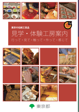 日本語版 (PDF 5180KB)