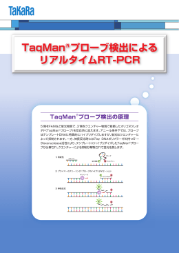TaqMan®プローブ検出による リアルタイムRT-PCR
