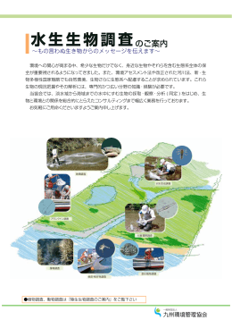 水生生物調査 - 九州環境管理協会
