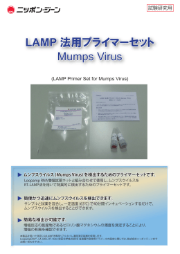 LAMP法用プライマーセット Measles Virus パンフレット