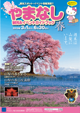 PDFファイルを見る - 富士の国やまなし観光ネット
