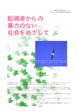 配偶者からの 暴力のない 社会をめざして