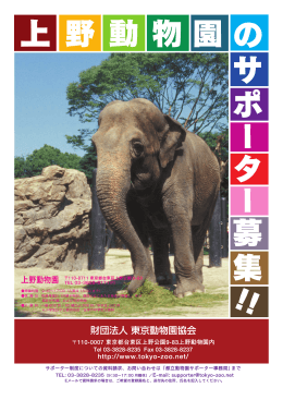 上 野 動 物 園 の サ ポ ー タ ー 募 集