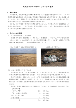 児島湖ヨシの刈取り・リサイクル事業 [PDFファイル／689KB]