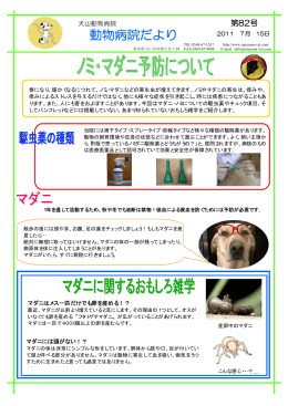 ノミ・マダニ予防について - 犬山動物総合医療センター