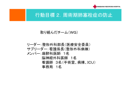 ファイル(PDF形式) - 医療安全全国共同行動