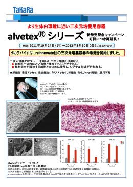 alvetex® シリーズキャンペーン