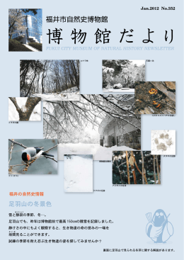 足羽山の冬景色 - 福井市自然史博物館