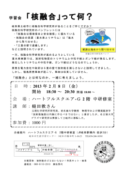 Taro12-2013.012.08 核融合 学習
