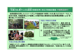 「命薬の里」親やんばる国頭の資源活用に係る方策検討調査（沖縄県