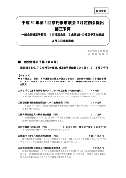 平成20年第1回京丹後市議会3月定例会提出 補正予算（PDF：183KB）