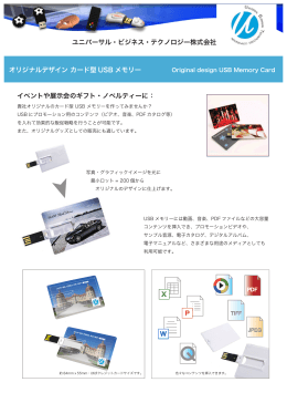 オリジナルデザイン カード型 USB メモリー P