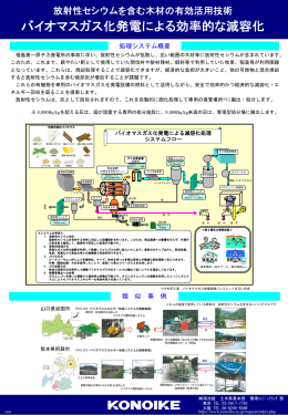 バイオマスガス化発電による効率的な減容化