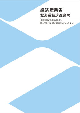 PDF形式/1919KB - 北海道経済産業局
