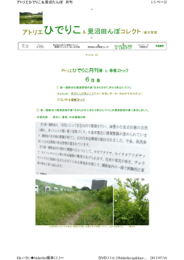 月刊6月号 - アトリエひでりこ & 植木設計事務所 「データ・ストック」