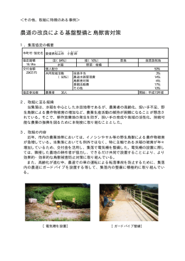 農道の改良による基盤整備と鳥獣害対策（PDF：65KB）