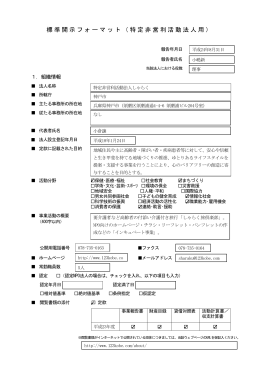 標準開示フォーマット（特定非営利活動法人用）