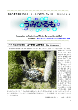 「海の生き物を守る会」メールマガジン No. 110 2012 .12. 1（土）