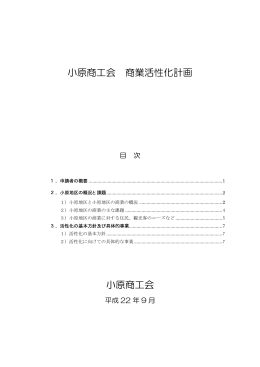 小原商工会活性化計画【第1期】平成23年～平成25年 （PDF