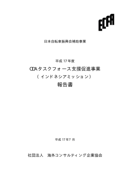 報告書 - （社）海外コンサルティング企業協会（ECFA）