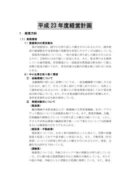 平成23年度経営計画 (PDF-226KB)