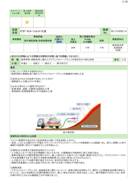 技術 名称 ビオ・セル・ショット工法 登録 No. KK-010052
