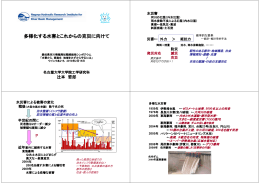 PDF ファイル - NHRI 名古屋流域圏水理研究院