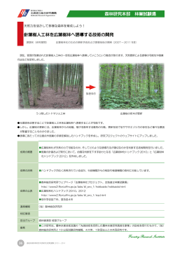 森林研究本部 林業試験場 針葉樹人工林を広葉樹林へ誘導する技術の