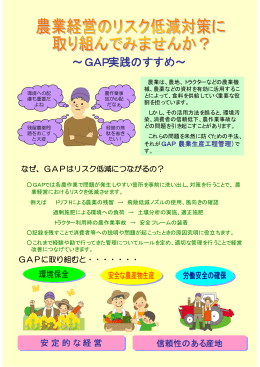 GAP推進パンフレット［PDFファイル／915KB］