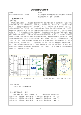 技術開発成果報告書