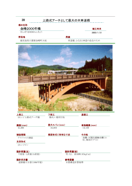 金峰2000年橋 上路式アーチとして最大の木車道橋 39
