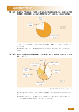 結果報告書（後半）(PDF文書)