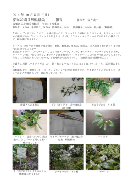 2014 年 10 月 5 日（日） 赤塚公園自然観察会 報告