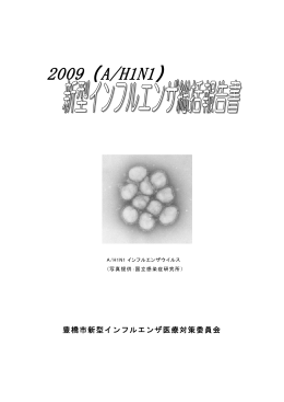 2009（A/H1N1）