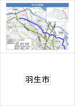 中川（PDF：412KB）