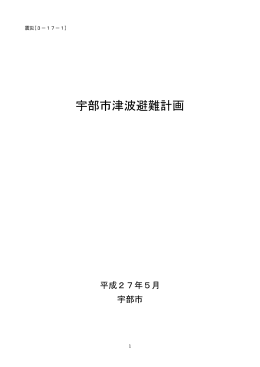 3-17-1 津波避難計画（PDF：375KB）