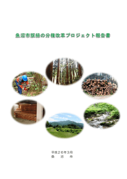 緑の分権改革プロジェクト報告書[PDF：3MB]