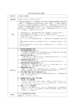 経営発達支援計画の概要 実施者名 大阪商工会議所 実施期間 平成27