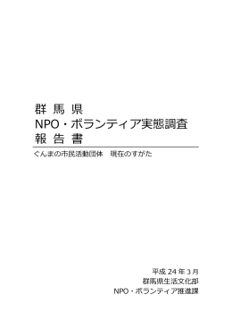 群 県 NPO・ボランティア実態調査 報 告 書